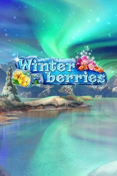 WinterBerries Image image