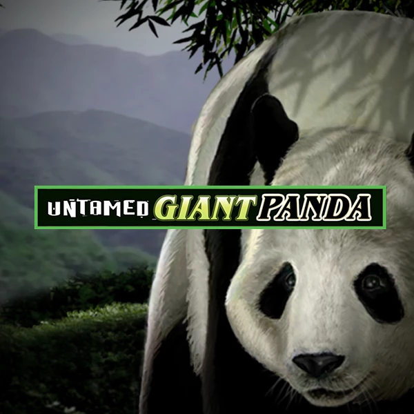 Image for Untamed giant panda image