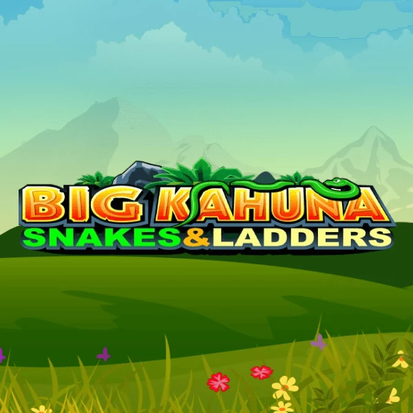 Image for Big kahuna snakes and ladders image