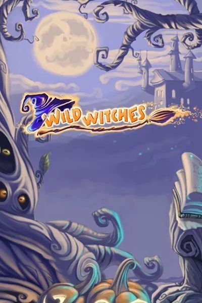 Wild Witches Image image