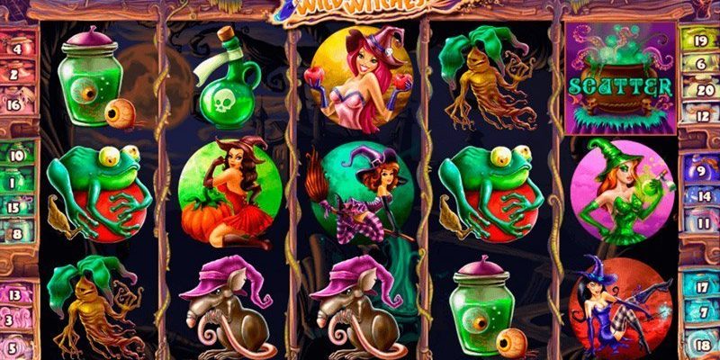 Wild Witches