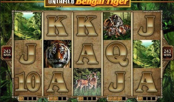 Untamed Bengal Tiger