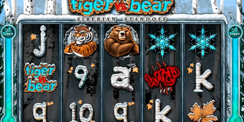 Tiger vs Bear
