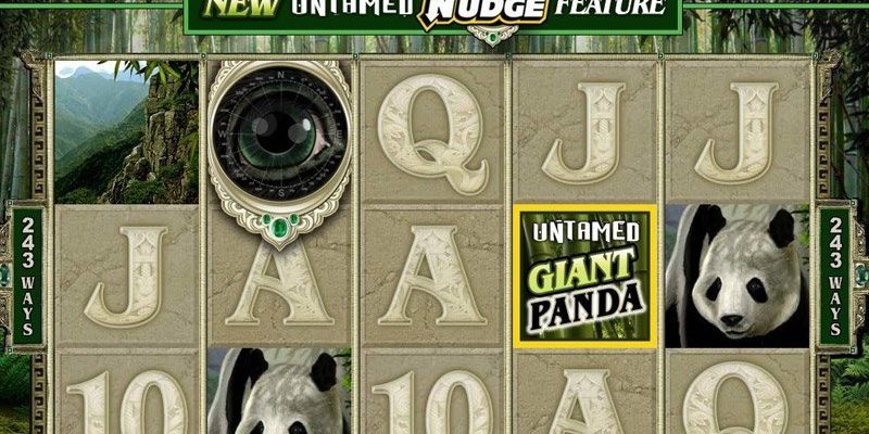 Untamed – Giant Panda