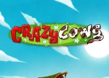 Crazy Cows