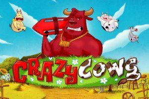 Crazy Cows