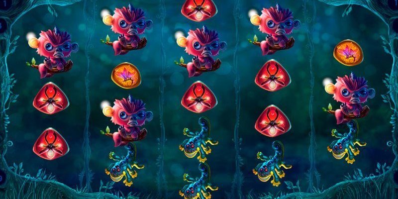 Magic Mushrooms