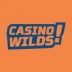 Casino Wilds