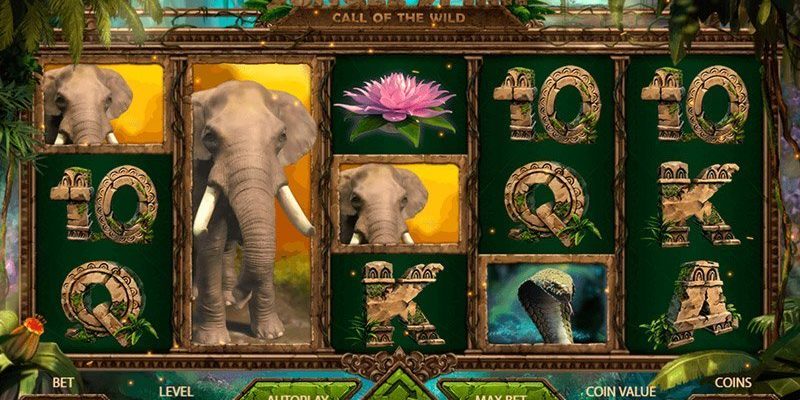 Jungle Spirit