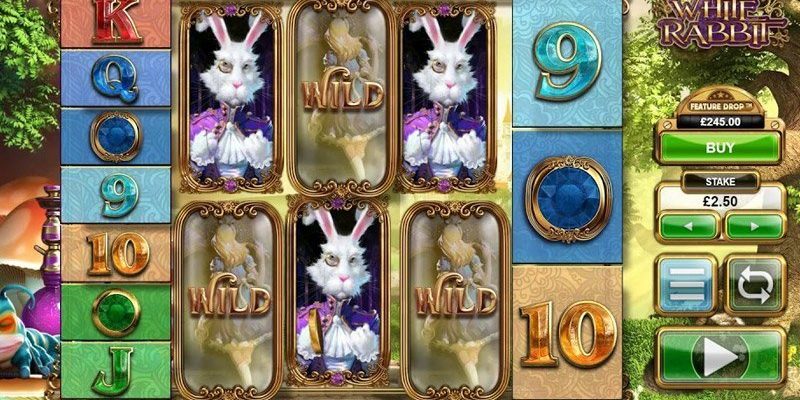 White Rabbit