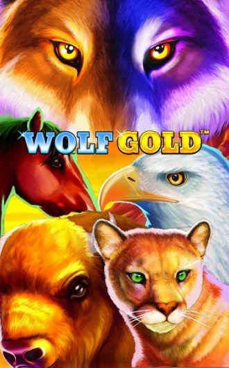 game image casinotopplisten