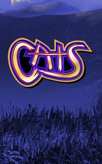 cats and cash play n go spilleautomat