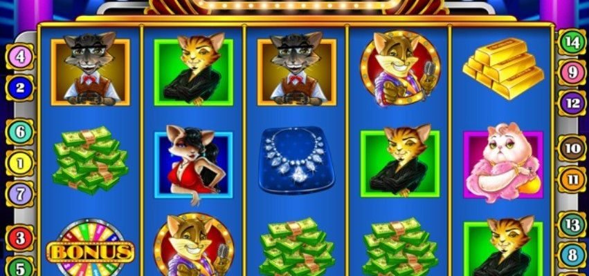 Cats and Cash