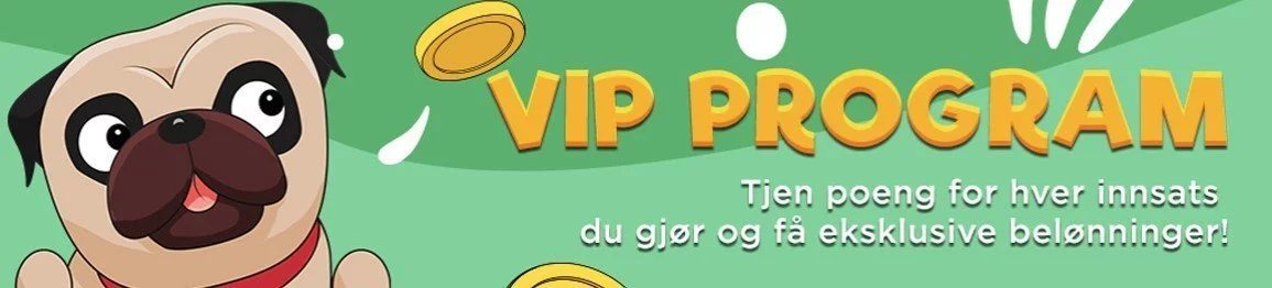 Slotjerry casino Vip program
