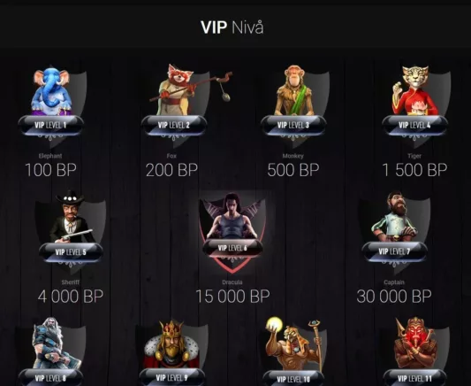 VIP og lojalitetsprogram hos Betchan casino