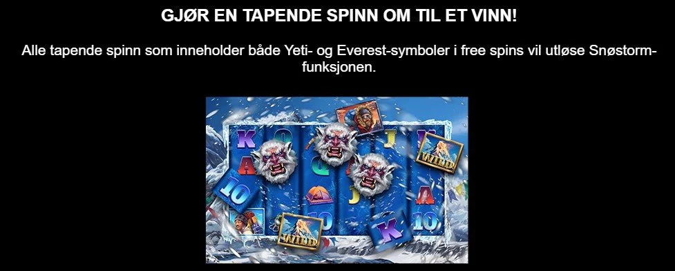 funksjoner i 9k yeti slot