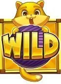 Wild symbol på spilleautomater