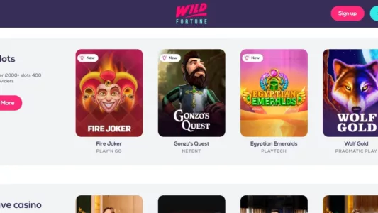 wild fortune casino omtale 2