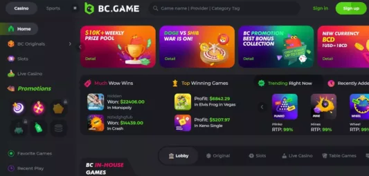 bc game casino norge