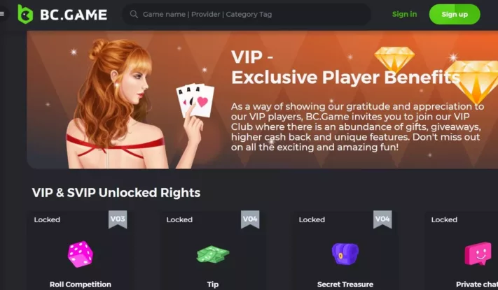 bc game casino norge vip