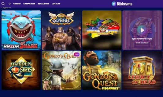 bitdreams casino norge omtale