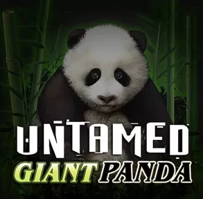Untamed Giant Panda image