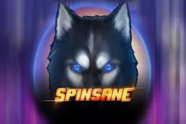 Spinsane image