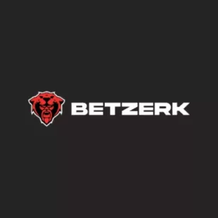 Logo image for Betzerk Casino image