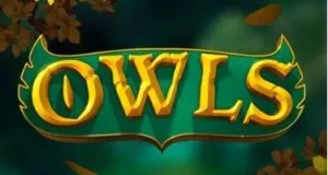 Owls