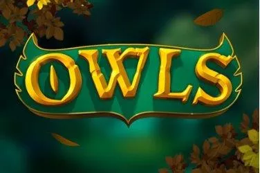 Owls Image image