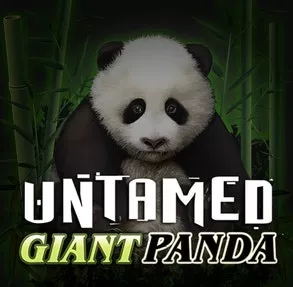 Untamed Giant Panda Image image