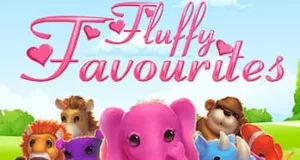Fluffy Favourites