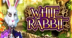 White Rabbit