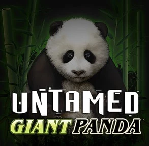 Untamed Giant Panda Image Mobile Image