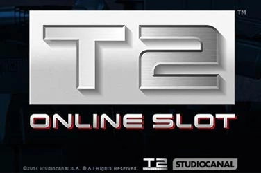 Terminator 2 Image image