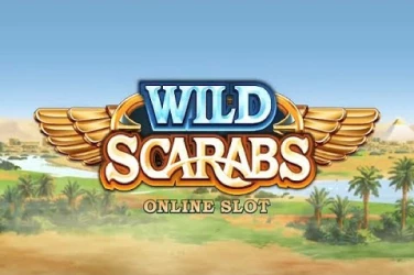 Wild Scarabs Mobile Image Wild Scarabs Image Mobile Image