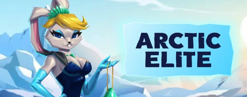 arctic elite vip program