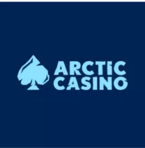 Arctic Casino image