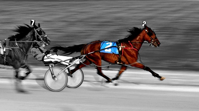 spille på hest og hestetipping