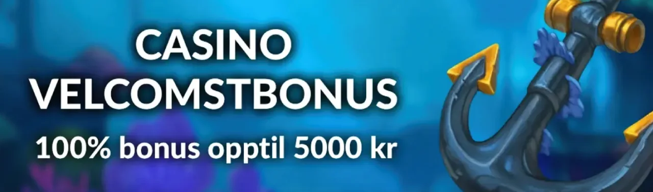 puntit casino bonus