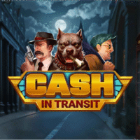 Logo image for Cash in Transit