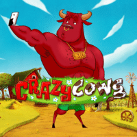 Logo image for Crazy Cows