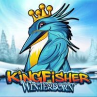 Logo image for Kingfisher Winterborn