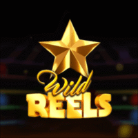 Logo image for Wild Reels