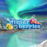Logo image for Winterberries